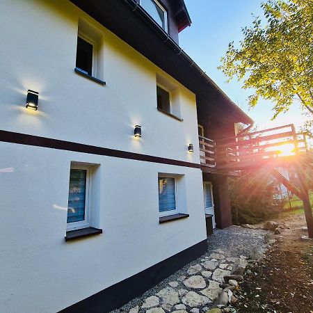Apartamenty Willa Naskarpie Jacuzzi Sauna Basen Wisła Buitenkant foto