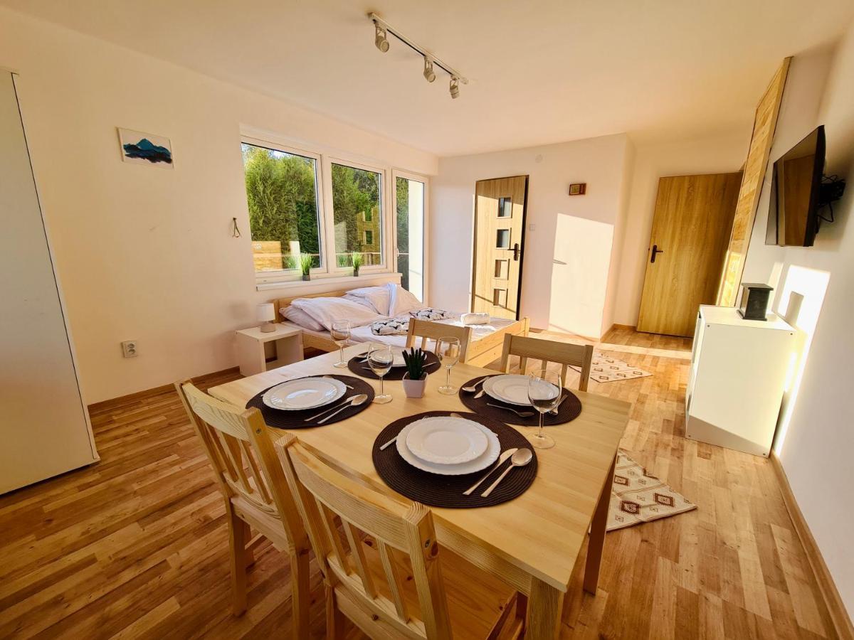 Apartamenty Willa Naskarpie Jacuzzi Sauna Basen Wisła Buitenkant foto