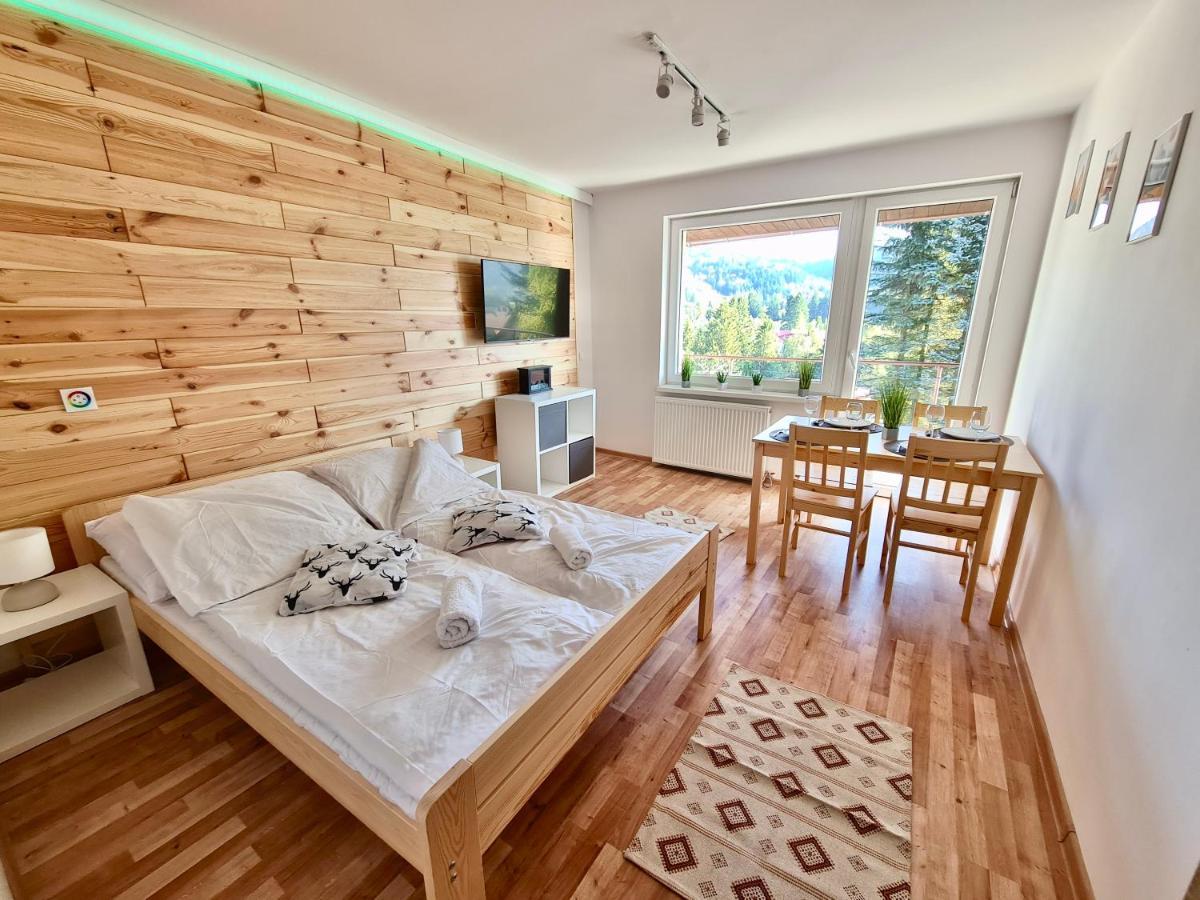 Apartamenty Willa Naskarpie Jacuzzi Sauna Basen Wisła Buitenkant foto