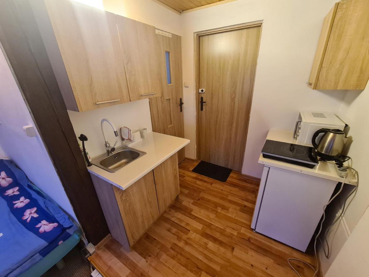 Apartamenty Willa Naskarpie Jacuzzi Sauna Basen Wisła Buitenkant foto