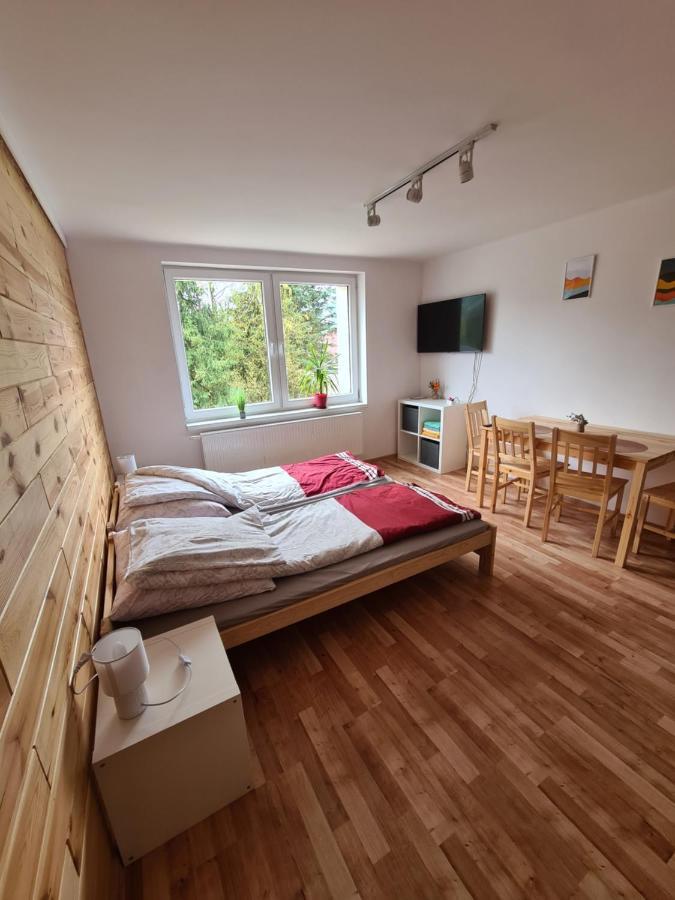 Apartamenty Willa Naskarpie Jacuzzi Sauna Basen Wisła Buitenkant foto