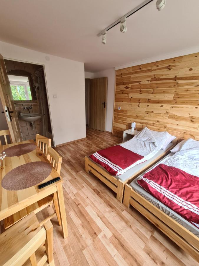 Apartamenty Willa Naskarpie Jacuzzi Sauna Basen Wisła Buitenkant foto